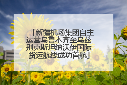 新疆机场集团自主运营乌鲁木齐至乌兹别克斯坦纳沃伊国际货运航线成功首航