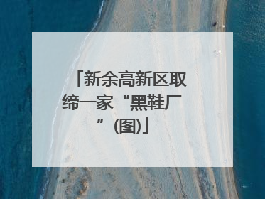 新余高新区取缔一家“黑鞋厂”(图)