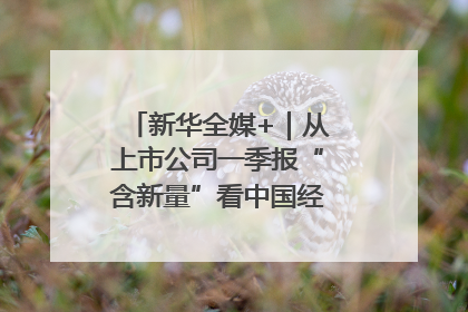 新华全媒+｜从上市公司一季报“含新量”看中国经济发展向“新”