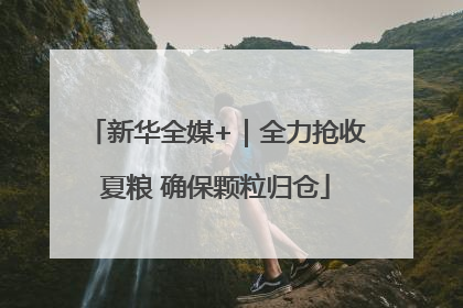 新华全媒+｜全力抢收夏粮 确保颗粒归仓