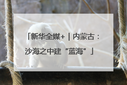 新华全媒+｜内蒙古：沙海之中建“蓝海”