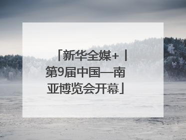 新华全媒+丨第9届中国—南亚博览会开幕