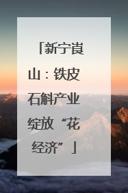 新宁崀山：铁皮石斛产业绽放“花经济”