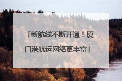 新航线不断开通！厦门港航运网络更丰富