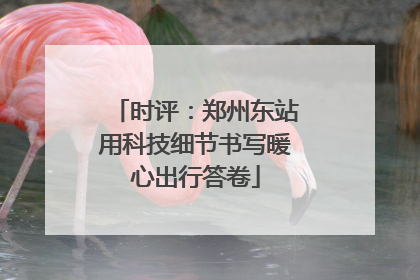 时评：郑州东站用科技细节书写暖心出行答卷