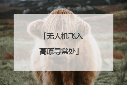 无人机飞入高原寻常处