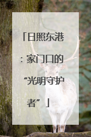 日照东港：家门口的“光明守护者”