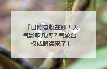 日照夏收在即！天气影响几何？气象台权威解读来了