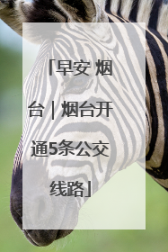 早安 烟台｜烟台开通5条公交线路