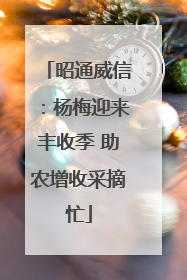 昭通威信：杨梅迎来丰收季 助农增收采摘忙