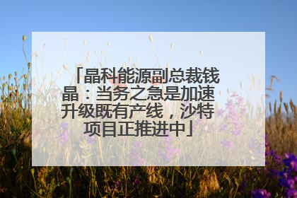 晶科能源副总裁钱晶：当务之急是加速升级既有产线，沙特项目正推进中