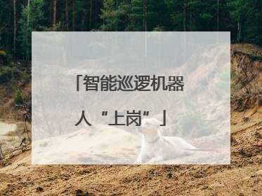 智能巡逻机器人“上岗”