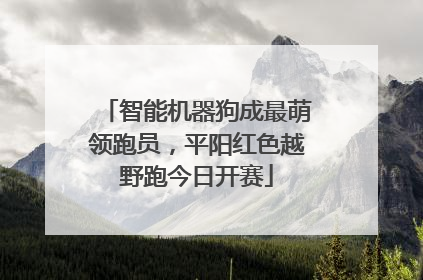 智能机器狗成最萌领跑员，平阳红色越野跑今日开赛