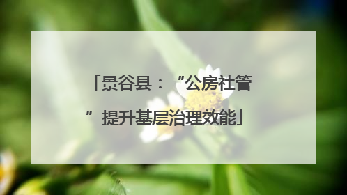 景谷县：“公房社管”提升基层治理效能