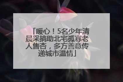 暖心！5名少年清晨采摘助北宅孤寡老人售杏，多方善意传递城市温情