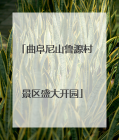 曲阜尼山鲁源村景区盛大开园