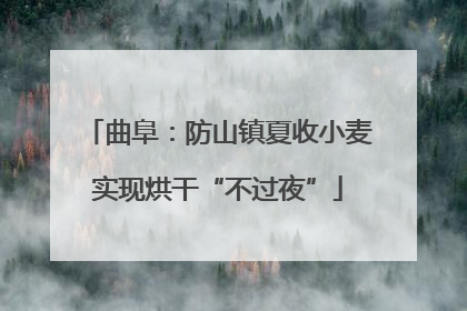 曲阜：防山镇夏收小麦实现烘干“不过夜”