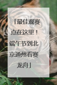 最佳观赛点在这里！端午节到北京通州看赛龙舟