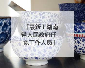 最新！湖南省人民政府任免工作人员