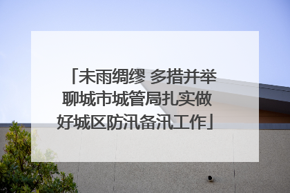 未雨绸缪 多措并举 聊城市城管局扎实做好城区防汛备汛工作
