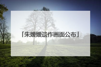 朱媛媛遗作画面公布