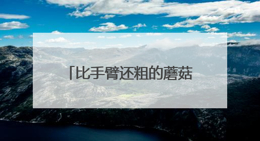 比手臂还粗的蘑菇！在玉米地被发现，柳州市民：能吃吗