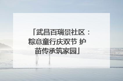 武昌百瑞景社区：粽意童行庆双节 护苗传承筑家园