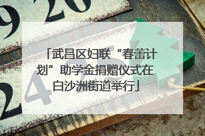 武昌区妇联“春蕾计划”助学金捐赠仪式在白沙洲街道举行