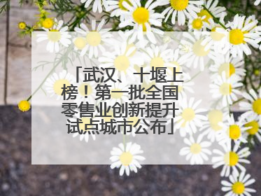 武汉、十堰上榜！第一批全国零售业创新提升试点城市公布
