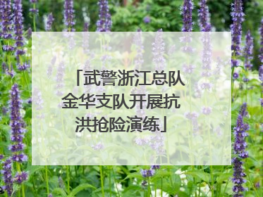 武警浙江总队金华支队开展抗洪抢险演练