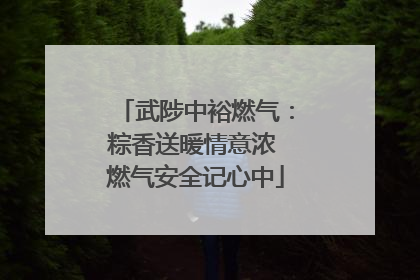 武陟中裕燃气：粽香送暖情意浓 燃气安全记心中