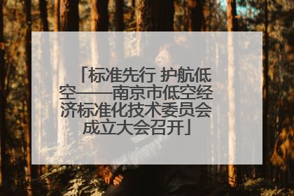 标准先行 护航低空——南京市低空经济标准化技术委员会成立大会召开