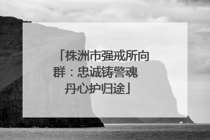 株洲市强戒所向群：忠诚铸警魂 丹心护归途