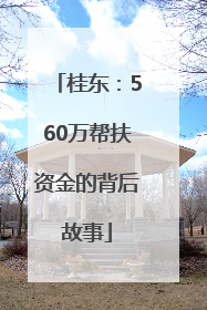 桂东：560万帮扶资金的背后故事