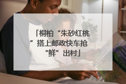 桐柏“朱砂红桃”搭上邮政快车抢“鲜”出村