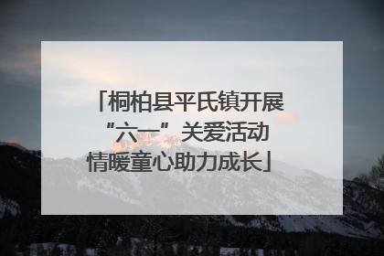 桐柏县平氏镇开展“六一”关爱活动 情暖童心助力成长