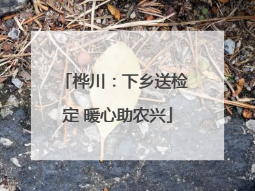 桦川：下乡送检定 暖心助农兴
