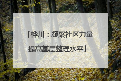 桦川：凝聚社区力量 提高基层整理水平