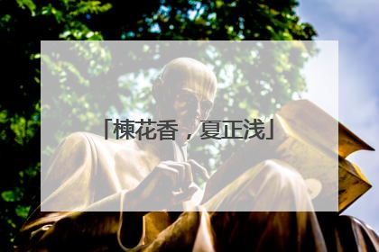 楝花香，夏正浅