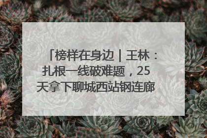 榜样在身边｜王林：扎根一线破难题，25天拿下聊城西站钢连廊“硬核”工程
