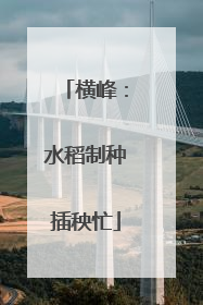 横峰：水稻制种插秧忙
