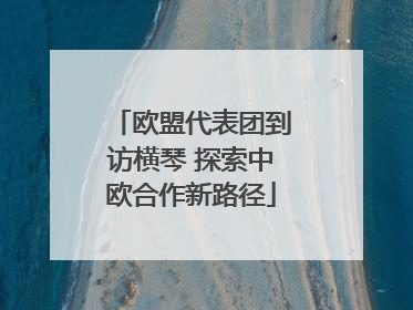 欧盟代表团到访横琴 探索中欧合作新路径