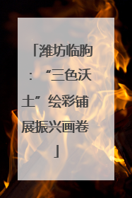 潍坊临朐：“三色沃土”绘彩铺展振兴画卷