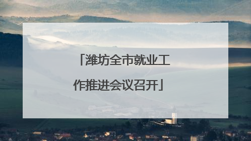 潍坊全市就业工作推进会议召开