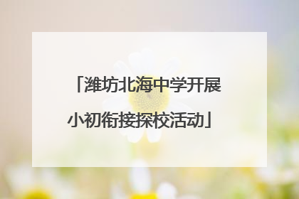 潍坊北海中学开展小初衔接探校活动