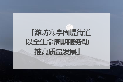 潍坊寒亭固堤街道以全生命周期服务助推高质量发展