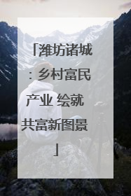 潍坊诸城：乡村富民产业 绘就共富新图景