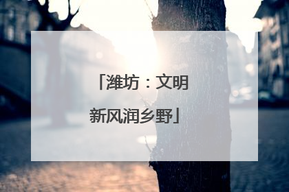 潍坊：文明新风润乡野