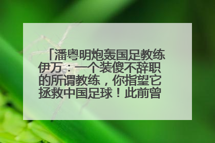 潘粤明炮轰国足教练伊万：一个装傻不辞职的所谓教练，你指望它拯救中国足球！此前曾多次发文评价国足
