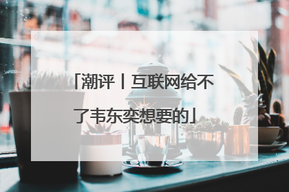 潮评丨互联网给不了韦东奕想要的